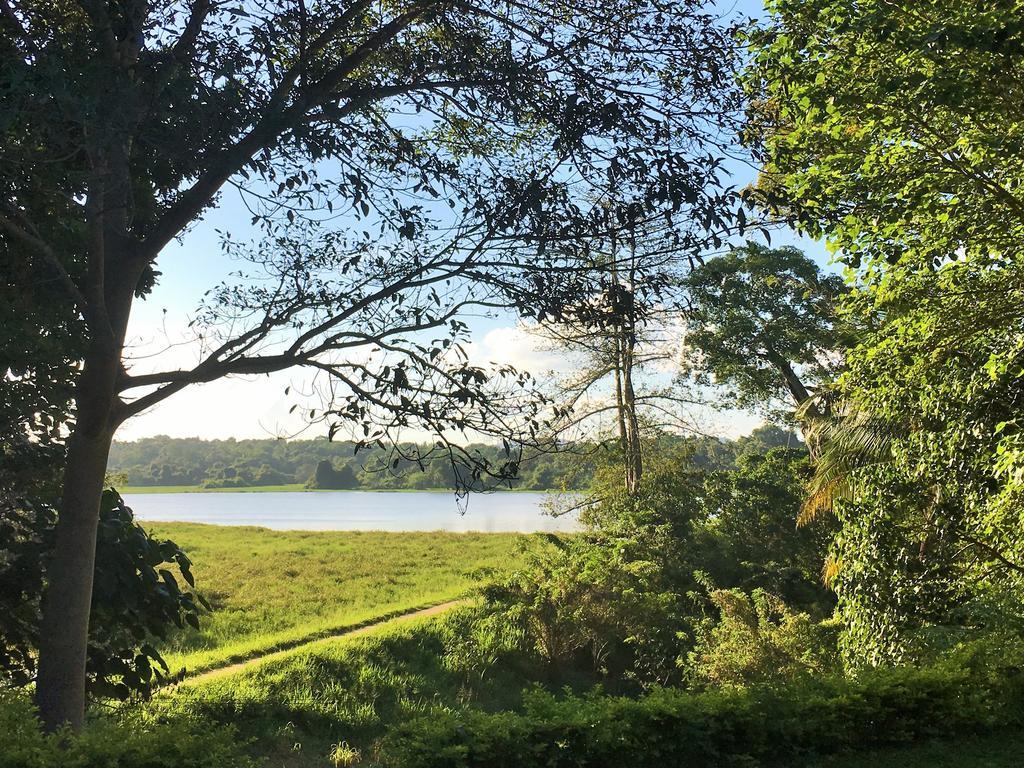 Blue Lake Ridge Maha Oya Exterior photo